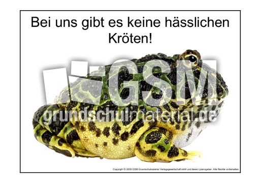 Hässliche-Kröte-1.pdf